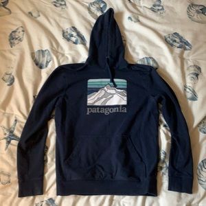 Patagonia Line Logo Ridge Sweatshirt